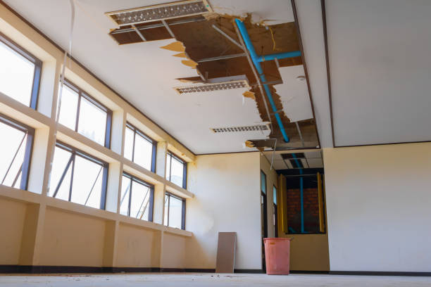 Best Sewage cleanup and water damage restoration  in Arapahoe, NE