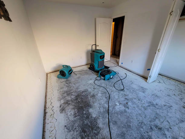 Best Flooded house restoration  in Arapahoe, NE