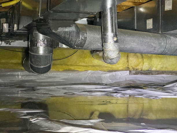 Best Flood damage cleanup  in Arapahoe, NE
